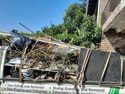Same-Day Junk Removal Services in Lely, FL